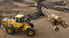 Solidium Wood Fiber Source Logs